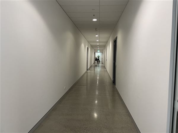 Open Plan Office space Lidcombe (networked) -  Short term leases available up until end of 2022 (8/03/2021 - Credits: Screen NSW Mechele Axford)