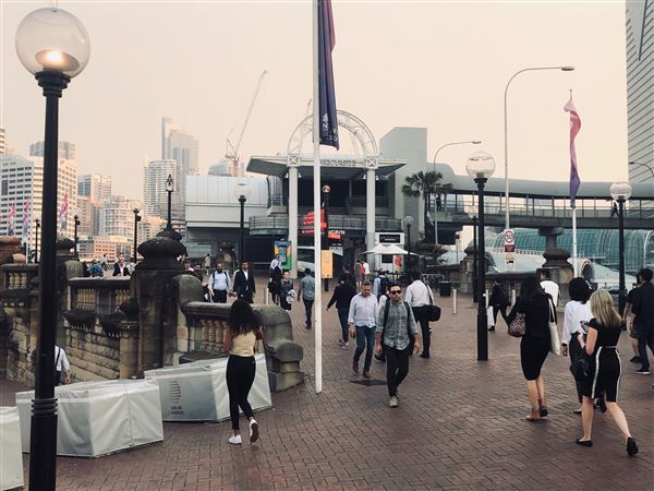 Darling Harbour (3/11/2019 - Credits: Cheryl Conway)