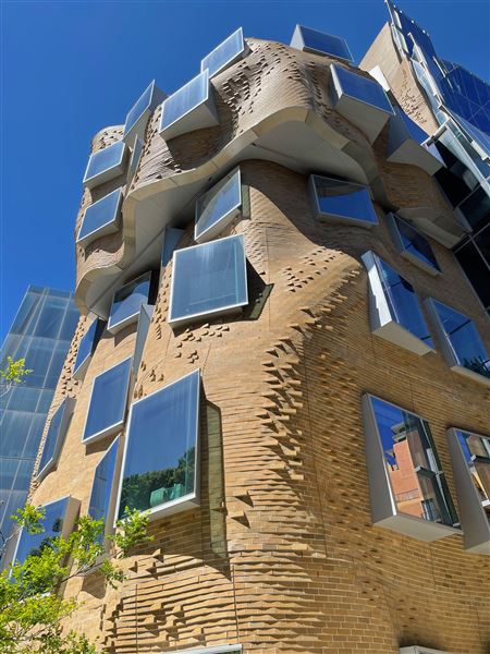 Ultimo - UTS & Central Park (17/10/2021 - Credits: Cheryl Conway)