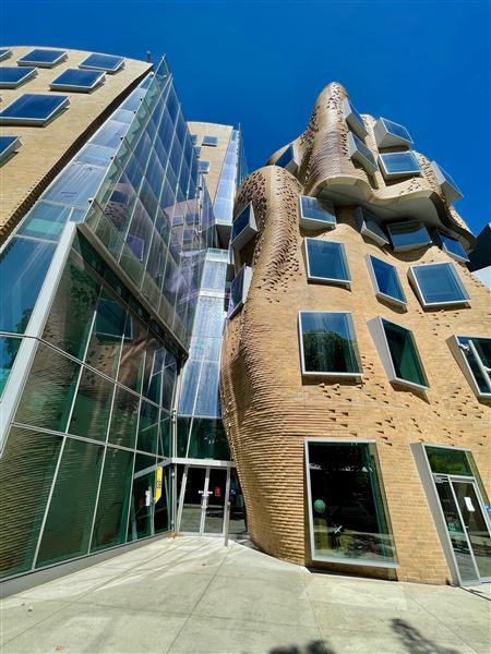 Ultimo - UTS & Central Park (17/10/2021 - Credits: Cheryl Conway)