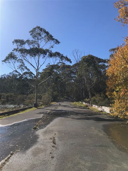 The Gully Aboriginal Place (24/05/2023 - Credits: BMCC)