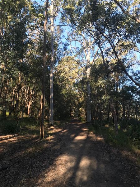 Glenbrook Lagoon (24/05/2023 - Credits: BMCC)