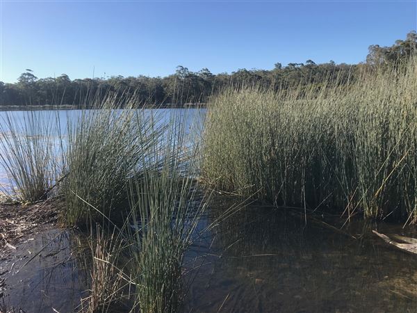 Glenbrook Lagoon (24/05/2023 - Credits: BMCC)