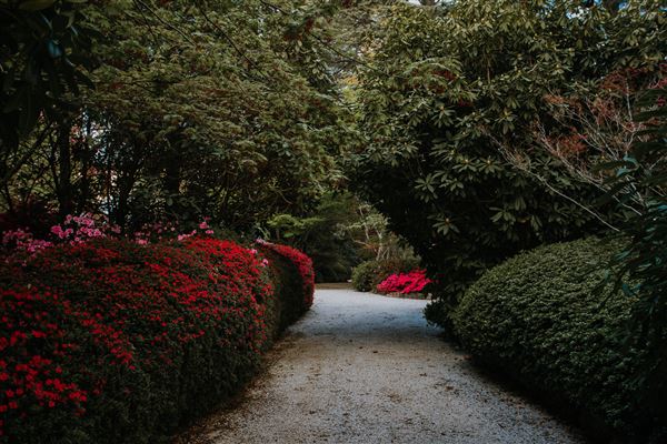 Dennarque Estate (17/07/2018 - Credits: Evan Wang)