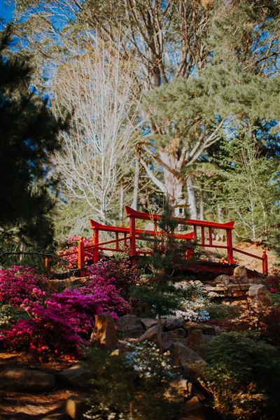 Dennarque Estate (17/07/2018 - Credits: Evan Wang)