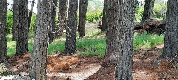 Private House - "Skyfall" (31/10/2021 - Credits: Julie Hetherington)