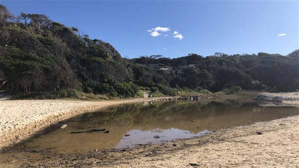 Nambucca Heads Swimming Creek (9/10/2020 - Credits: Shannon Wheeler)
