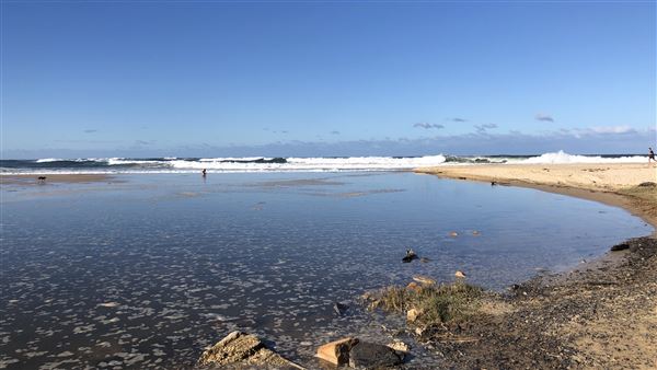 Nambucca Heads Swimming Creek (9/10/2020 - Credits: Shannon Wheeler)