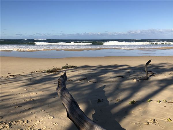 Nambucca Heads (9/10/2020 - Credits: Shannon Wheeler)