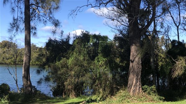 Nambucca Heads (9/10/2020 - Credits: Shannon Wheeler)