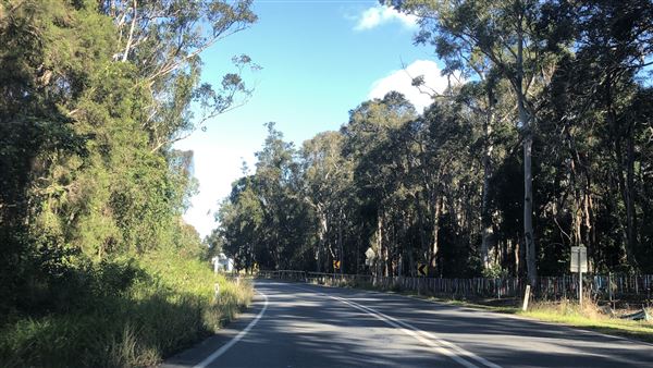 Nambucca Heads (9/10/2020 - Credits: Shannon Wheeler)
