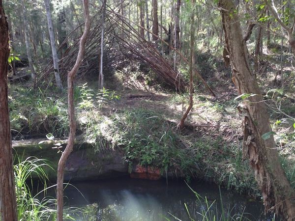 Gurranang pristine bush property (9/11/2023 - Credits: silvana van dijk)