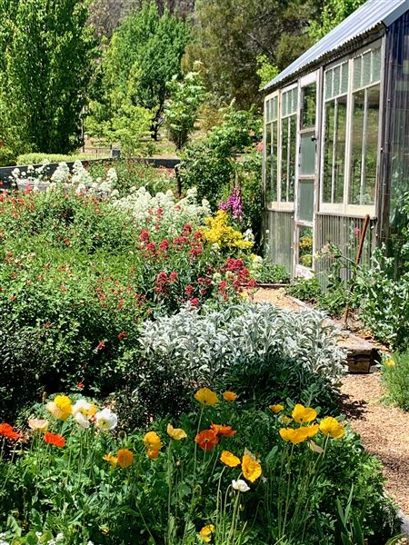 Hartvale Gardens and Cottage (30/10/2023 - Credits: Jennifer Edwards)