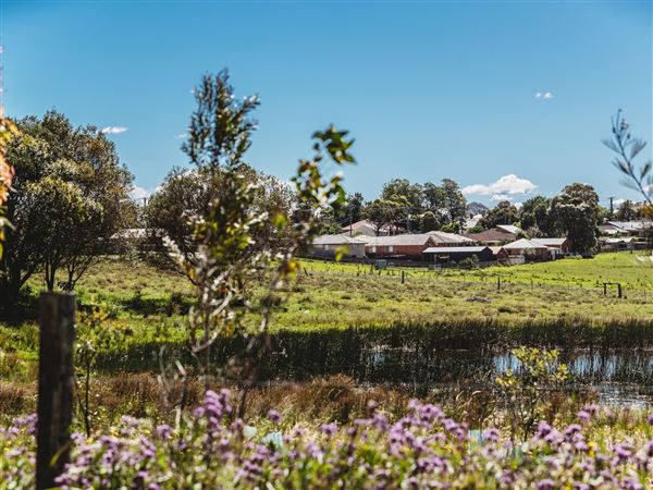 Morpeth Farmland (17/06/2021 - Credits: Maitland City Council)