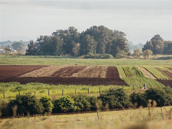 Pitnacree Farmland (18/06/2020 - Credits: Maitland City Council)
