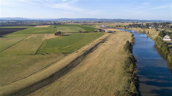 The Hunter River (13/06/2023 - Credits: Maitland City Council)