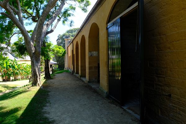 Vaucluse House (27/03/2024 - Credits: Shannon Wheeler)