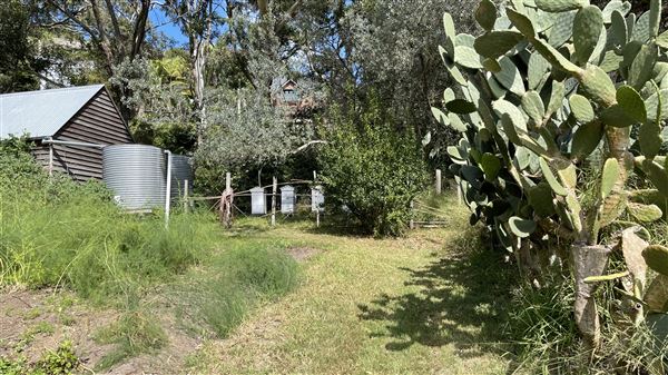 Vaucluse House (27/03/2024 - Credits: Shannon Wheeler)