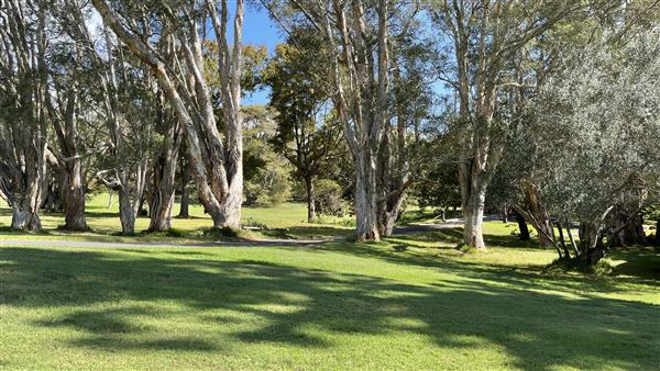 Vaucluse House (27/03/2024 - Credits: Shannon Wheeler)