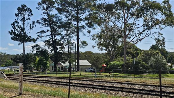 Buxton NSW (30/01/2024 - Credits: K McGuinness)