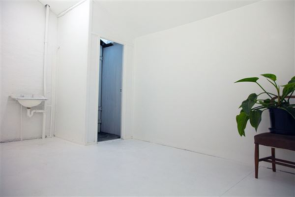 Nauti Studios' Sustainable CoWorking in Sydney (9/06/2024 - Credits: Nauti Studios)