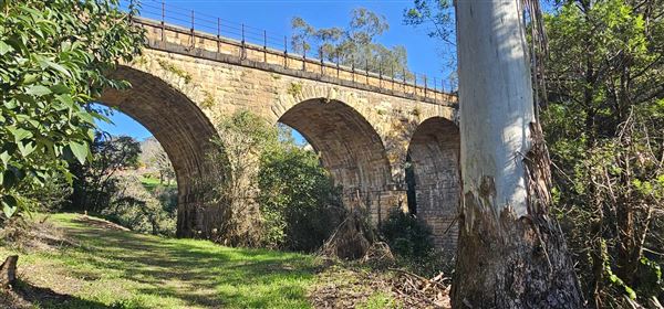 Stonequarry Creek Railway Viaduct (9/06/2024 - Credits: Kim McGuinness & Kersti Martin)