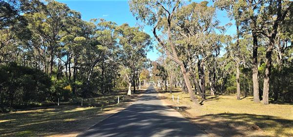 Nepean Dam (19/07/2024 - Credits: Kim McGuinness)
