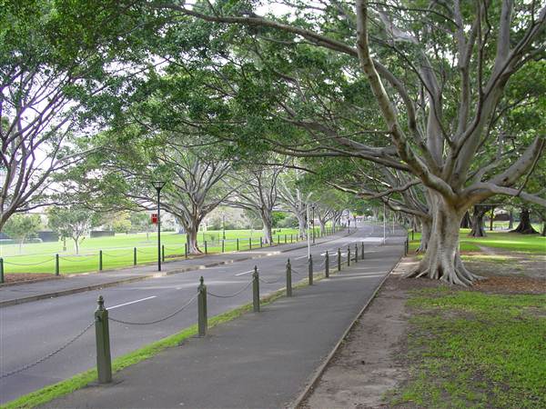 The Domain (25/02/2013 11:37:13 AM)