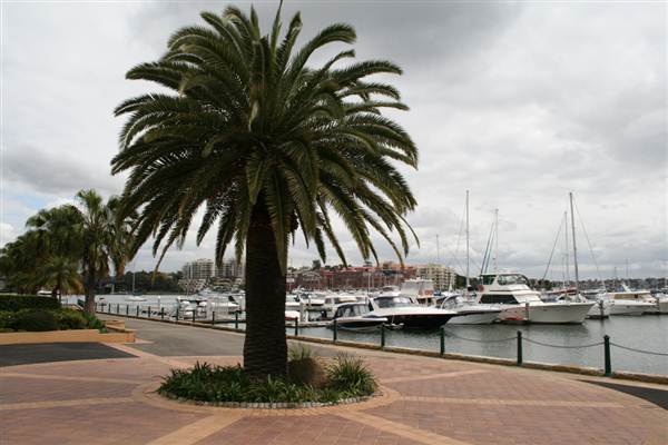 Balmain Cove and Balmain Shores (26/02/2013 9:41:57 AM)