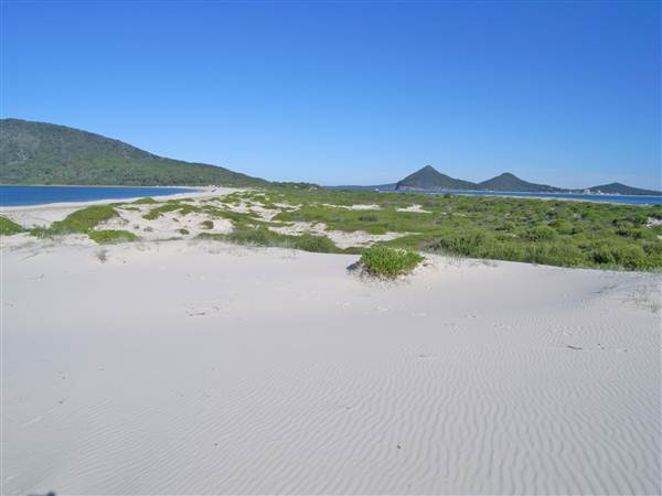 Bennetts Beach (26/02/2013 1:01:57 PM)