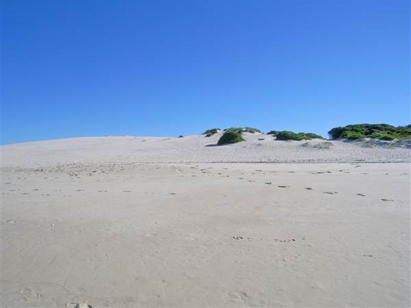 Bennetts Beach (26/02/2013 1:04:46 PM)