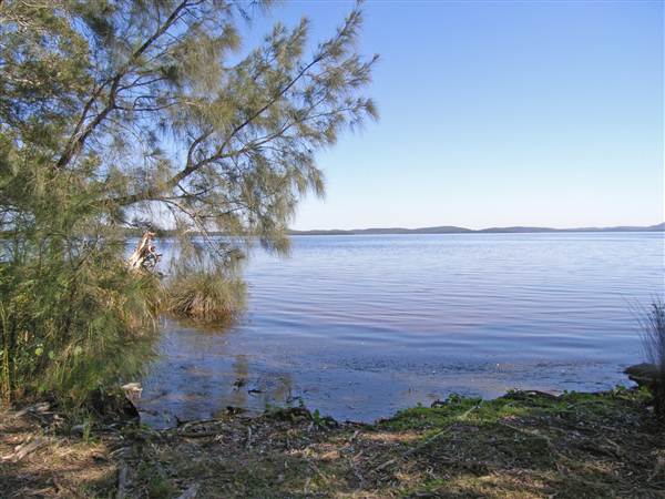 Northern Broadwater Picnic Area (26/02/2013 4:31:54 PM)
