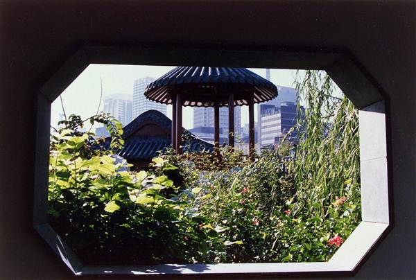 Chinese Garden of Friendship - Darling Harbour (27/02/2013 1:31:29 PM)