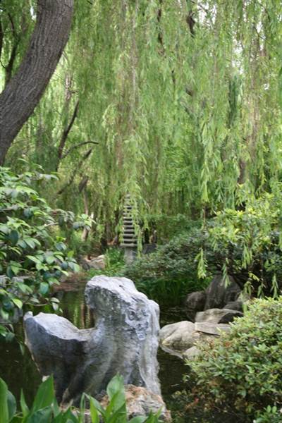 Chinese Garden of Friendship - Darling Harbour (27/02/2013 1:32:10 PM)