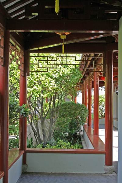 Chinese Garden of Friendship - Darling Harbour (27/02/2013 1:32:48 PM)