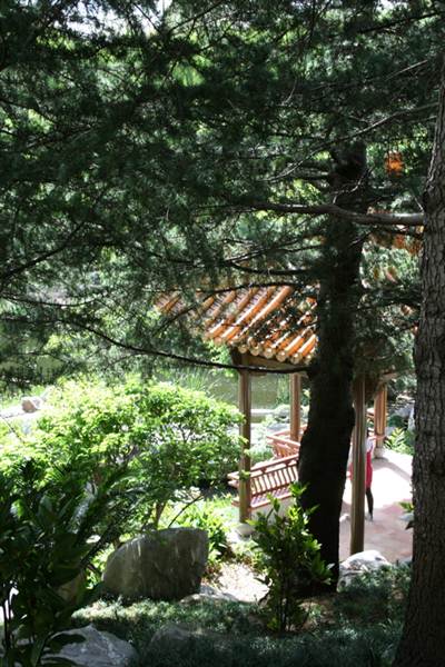 Chinese Garden of Friendship - Darling Harbour (27/02/2013 1:35:50 PM)