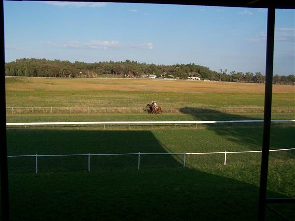 Coonabarabran Jockey Club (27/02/2013 1:36:58 PM)