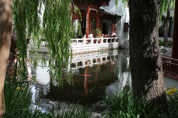 Chinese Garden of Friendship - Darling Harbour (27/02/2013 1:40:16 PM)