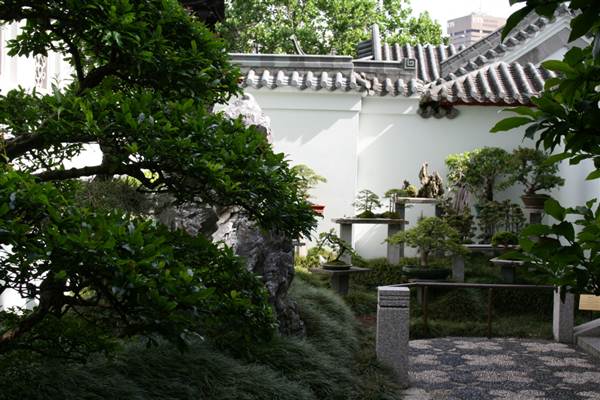 Chinese Garden of Friendship - Darling Harbour (27/02/2013 1:41:20 PM)