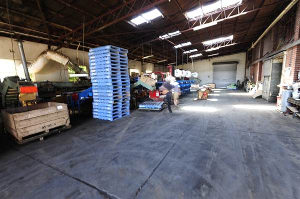 Daydawn Orchard (27/02/2013 7:05:12 PM)
