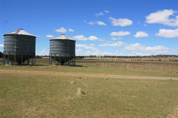 Deeargee Woolshed (27/02/2013 7:48:46 PM)