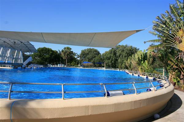 Dolphin Marine Magic (27/02/2013 10:43:46 PM)