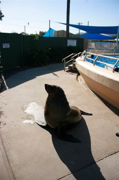 Dolphin Marine Magic (27/02/2013 10:44:10 PM)