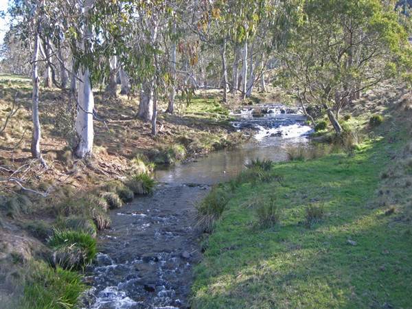 Dorrigo - General (27/02/2013 10:53:07 PM)