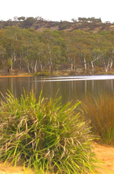 Dunns Swamp (28/02/2013 12:54:18 PM)