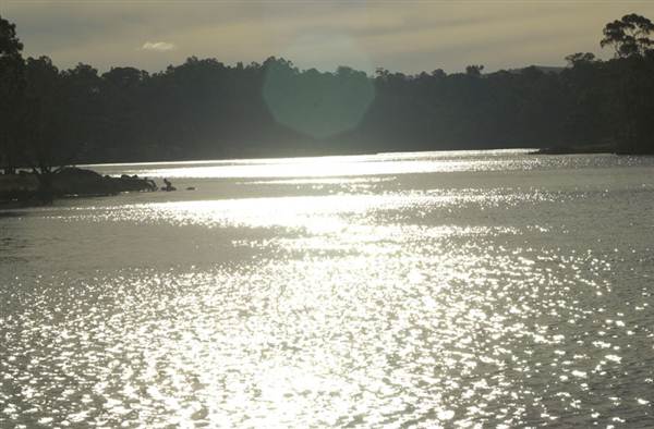 Dunns Swamp (28/02/2013 12:54:27 PM)