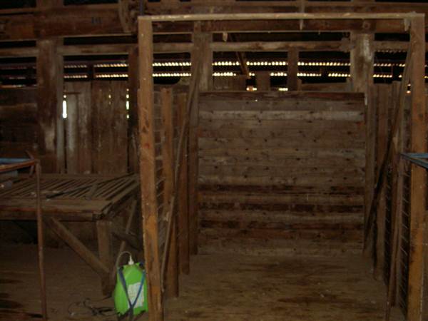 East Borambil Sheep Station (28/02/2013 1:28:13 PM)