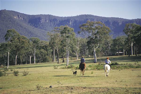 Megalong Valley (28/02/2013 3:20:34 PM)