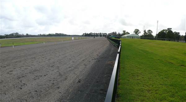 Menangle Park Paceway (28/02/2013 3:22:44 PM)
