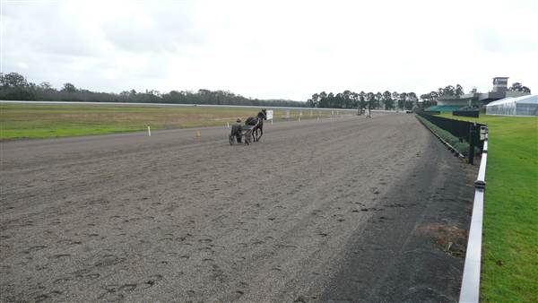 Menangle Park Paceway (28/02/2013 3:29:07 PM)